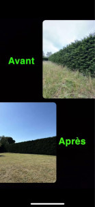 Photo de galerie - Avant/apres