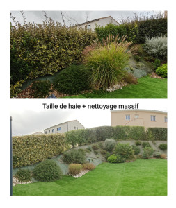 Photo de galerie - Taille de haie et nettoyage d'un massif 
