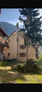 Photo de galerie - Elagage et coupe d'arbres