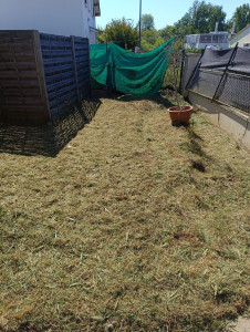 Photo de galerie - Tonte de pelouse - Débroussaillage