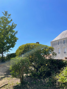 Photo de galerie - Taille de haies et d'arbustes