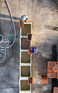 Photo de galerie - Photographe