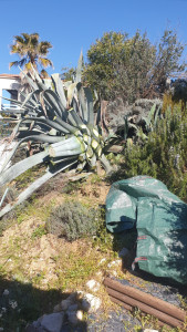 Photo de galerie - Entretien espaces verts 