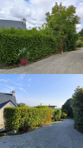 Photo de galerie - Paysagiste - Aménagement du jardin