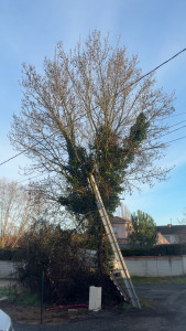 Photo de galerie - Avant