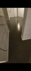 Photo de galerie - Renouvation de laboratoire placo carrelage faïence 