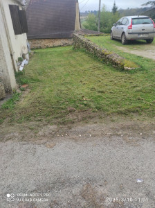 Photo de galerie - Tonte pelouse 