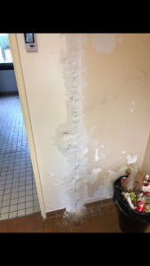 Photo de galerie - Peinture / Enduit