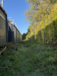 Photo de galerie - Tonte de pelouse - Débroussaillage