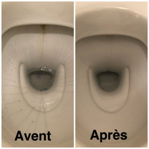 Photo de galerie - Détartrage d’un wc 