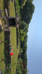 Photo de galerie - Tonte de pelouse - Débroussaillage