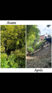 Photo de galerie - Paysagiste - Aménagement du jardin