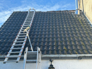 Photo de galerie - Demoussage a la main