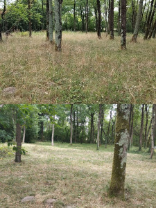 Photo de galerie - Avant / après 