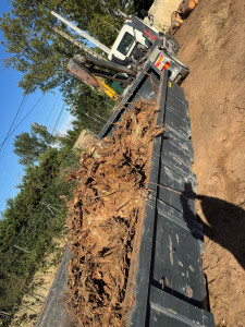 Photo de galerie - Essouchement et enlèvement de souches 