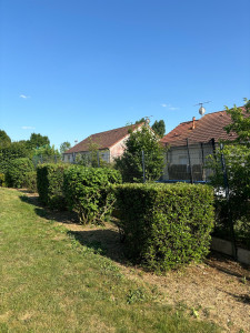 Photo de galerie - Taille d’arbustes 