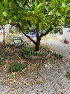 Photo de galerie - Avant 