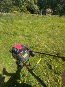 Photo de galerie - 1er passage sur une tonte de pelouse 