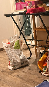 Photo de galerie - Garde de Minette 