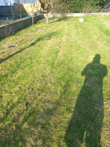 Photo de galerie - Faire de pelouse