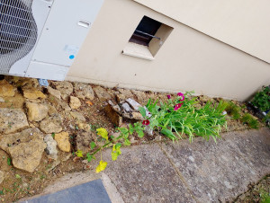 Photo de galerie - Paysagiste - Aménagement du jardin