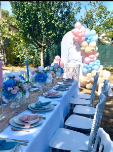 Photo de galerie - Déco Gender reveal 