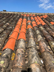 Photo de galerie - Couverture - Toiture