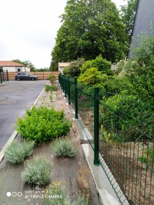 Photo de galerie - Plat