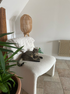 Photo de galerie - Garde chien, chat, nac 