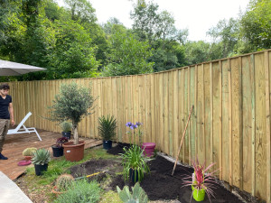 Photo de galerie - Je vous propose de créer vos murs, bois renforcé