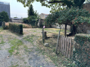 Photo de galerie - Entretien de terrain taille tonte