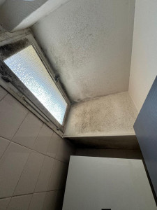 Photo de galerie - Avant mon passage . salle de bain avec beaucoup de moisissures 