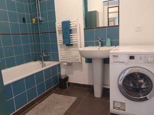 Photo de galerie - Nettoyage de la salle de bain