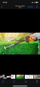 Photo de galerie - Taille de haie,élagage, aménagement et entretien jardin 