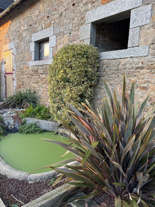 Photo de galerie - Taille d'un arbuste