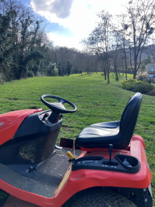 Photo de galerie - Tonte pelouse