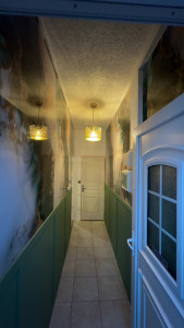 Photo de galerie - Réfection d’un couloir complet pose plaque pvc effet marbre création soubassement vert  Instalation luminaires effet or cliente super ému après avoir découvert sa nouvelle entrée de maison 