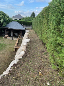 Photo de galerie - Taille de haies et d'arbustes