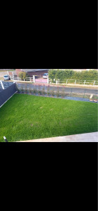 Photo de galerie - Pelouse après 