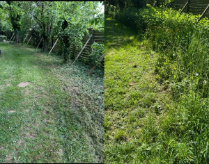 Photo de galerie - Tonte, plus débroussaillage, terrain en friche