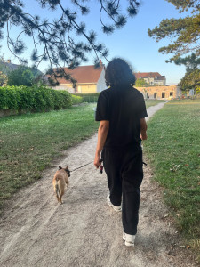 Photo de galerie - Petite balade 