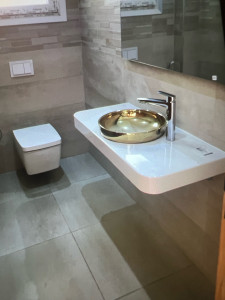 Photo de galerie - Rénovation de toilette démolition et posé carrelage 