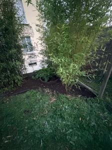 Photo de galerie - Nettoyage d’un massif 