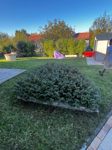 Photo de galerie - Voici le bac Avant, puis à côté la photo du bac après. Avec le descriptif du travail réalisé.
