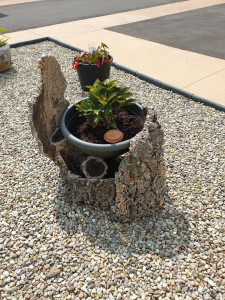 Photo de galerie - Jardinier