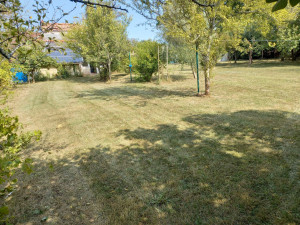 Photo de galerie - Pelouse 