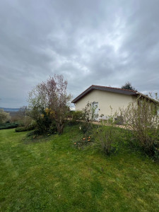 Photo de galerie - Elagage et coupe d'arbres