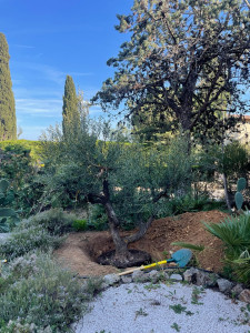 Photo de galerie - Paysagiste - Aménagement du jardin