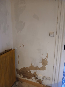 Photo de galerie - Peinture - Tapisserie