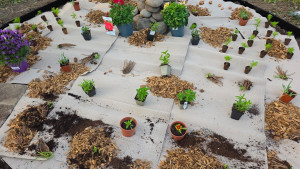 Photo de galerie - Paysagiste - Aménagement du jardin